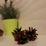 Διαμέρισμα Marynarski 6 Pogorzelica (Gmina Rewal)